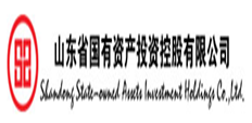 山東省國(guó)有資產(chǎn)投資控股有限公司